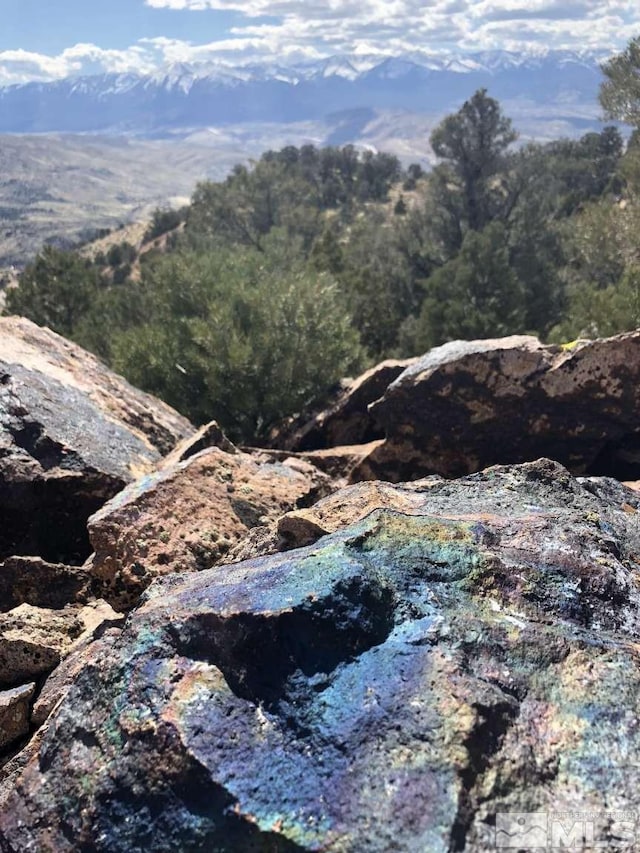 2940 Union Rd, Reno, NV 89521