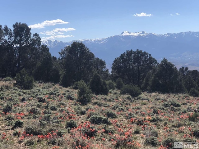 2940 Union Rd, Reno, NV 89521