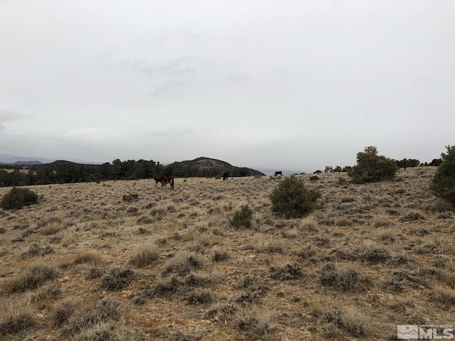 2940 Union Rd, Reno, NV 89521
