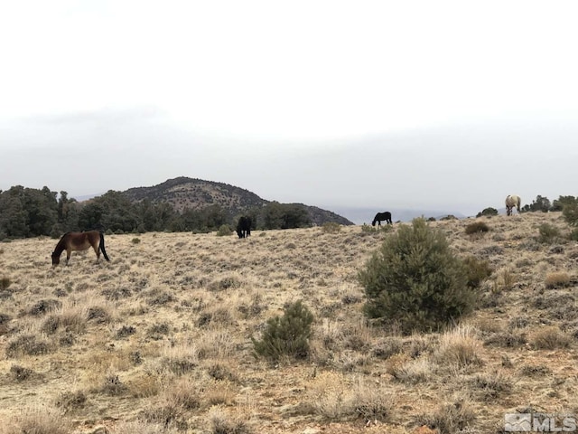 2940 Union Rd, Reno, NV 89521