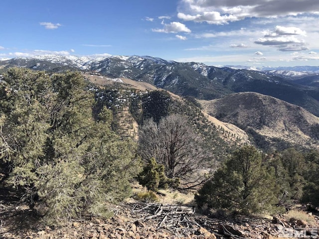 2940 Union Rd, Reno, NV 89521