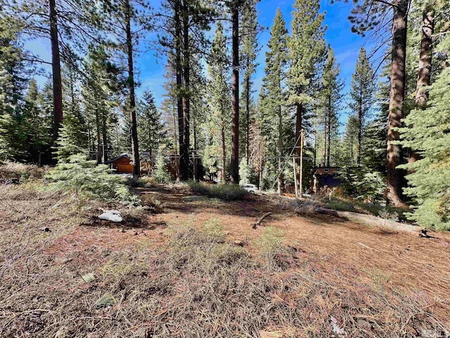 1593 Plumas, South Lake Tahoe, CA 96150