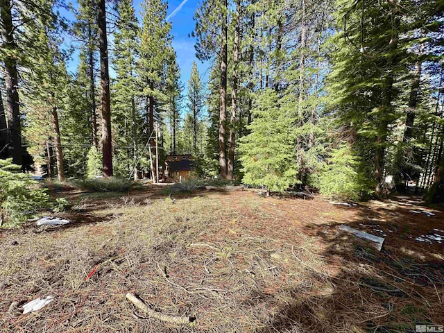 1593 Plumas, South Lake Tahoe, CA 96150
