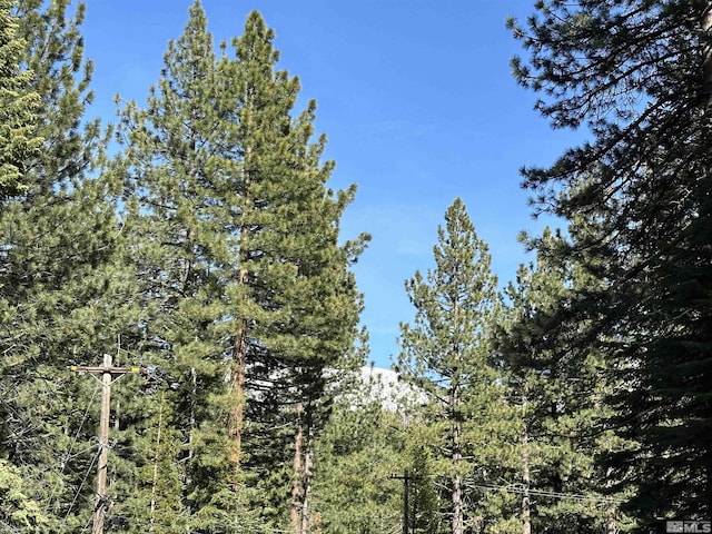 1593 Plumas, South Lake Tahoe, CA 96150