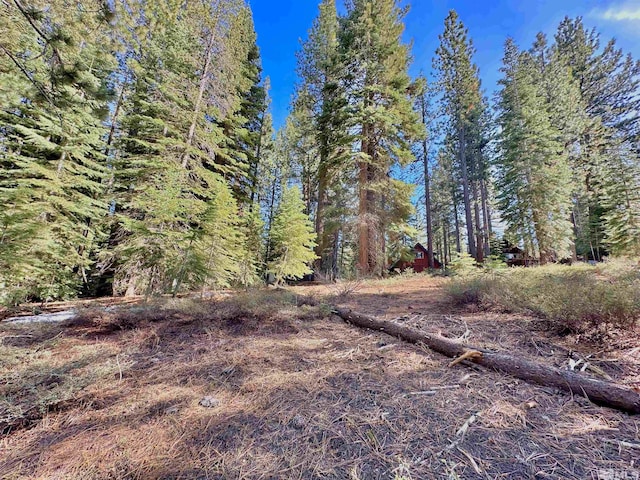 1593 Plumas, South Lake Tahoe, CA 96150