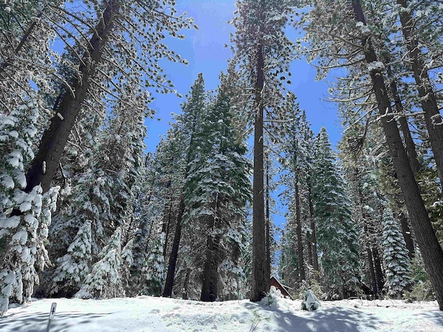 1593 Plumas, South Lake Tahoe, CA 96150