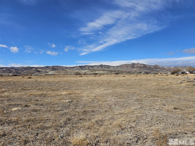 13AC S Whitacre St, Yerington, NV 89447 - photo 1