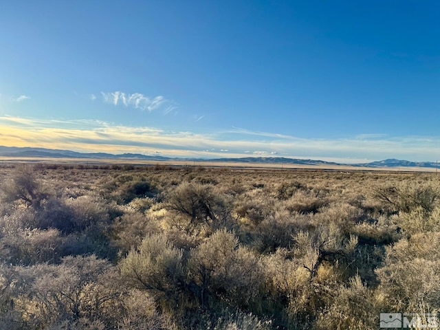 22025 Callaway Dr, Lovelock, NV 89419
