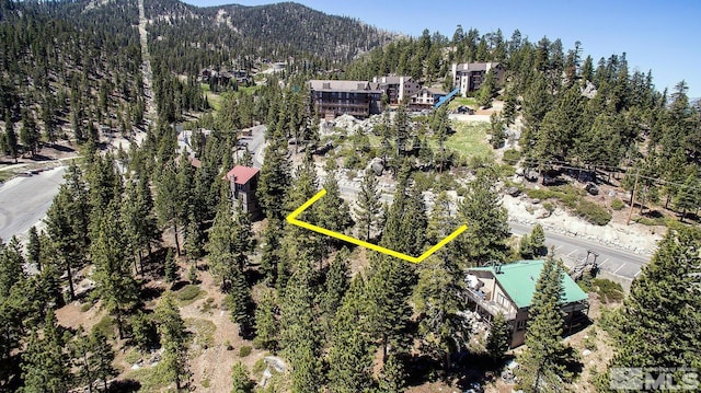 363 Tramway, Stateline, NV 89449