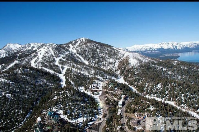 363 Tramway, Stateline, NV 89449
