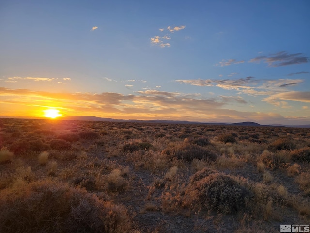 12017 Powerline Rd, Fallon, NV 89406