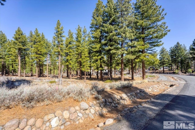 129 E Willis Ln, Reno, NV 89511