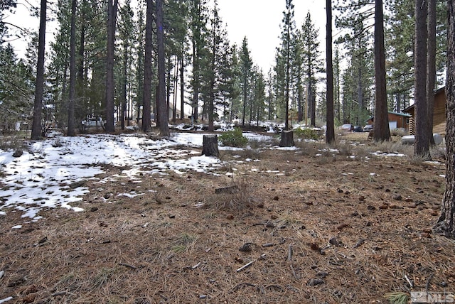 50 Pinon Rd, Markleeville, CA 96120