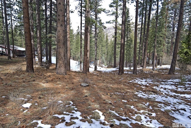 50 Pinon Rd, Markleeville, CA 96120