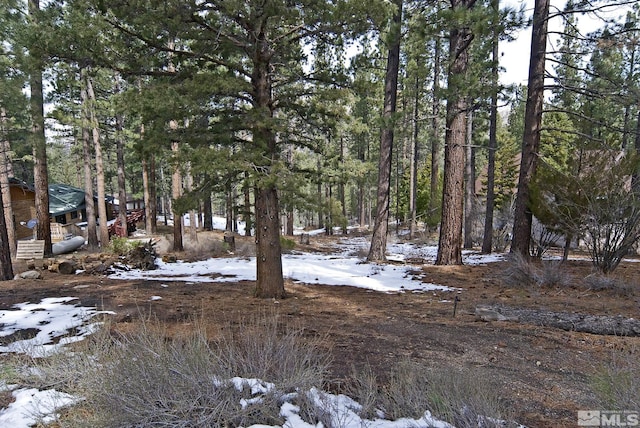 50 Pinon Rd, Markleeville, CA 96120