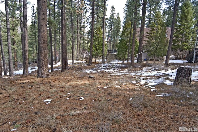 50 Pinon Rd, Markleeville, CA 96120