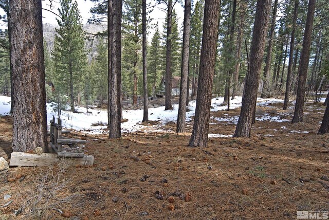 50 Pinon Rd, Markleeville, CA 96120