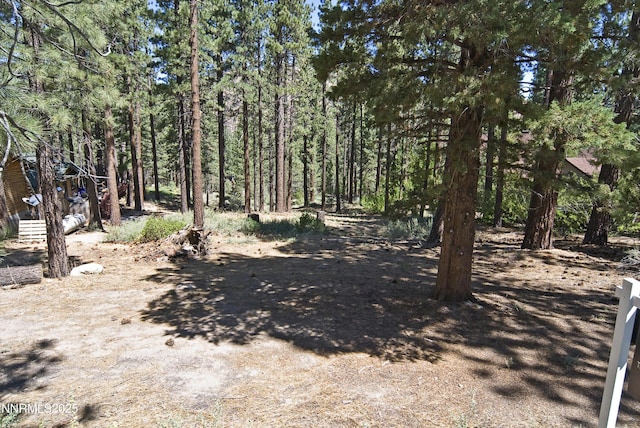 50 Pinon Rd, Markleeville, CA 96120 - photo 4