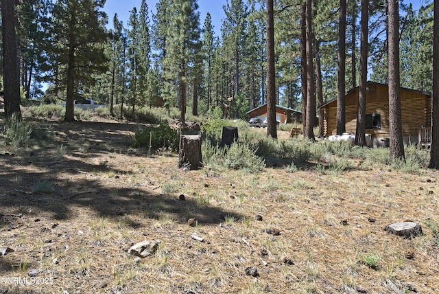 50 Pinon Rd, Markleeville, CA 96120 - photo 6