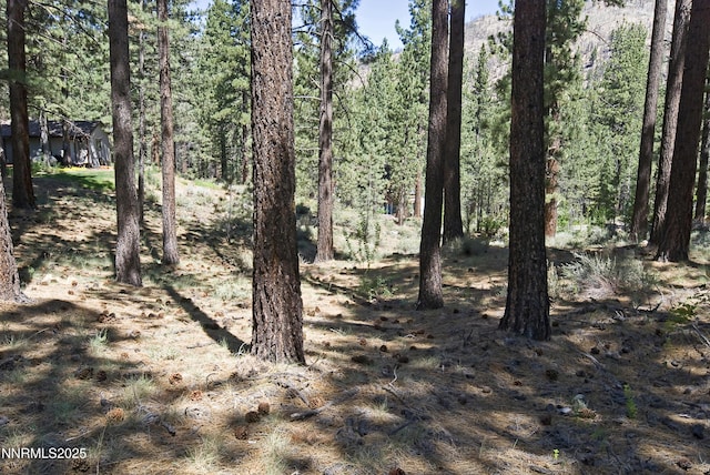 50 Pinon Rd, Markleeville, CA 96120 - photo 7