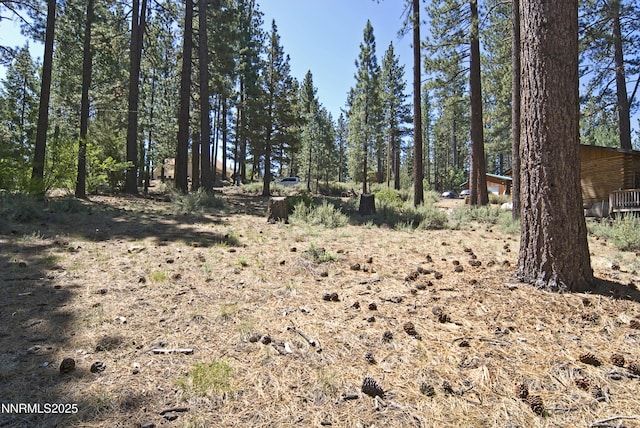 50 Pinon Rd, Markleeville, CA 96120 - photo 8