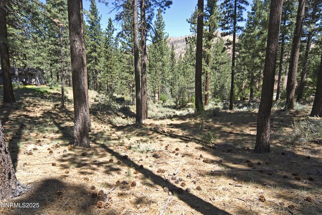 50 Pinon Rd, Markleeville, CA 96120 - photo 3