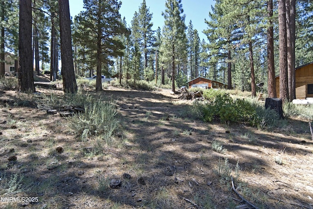 50 Pinon Rd, Markleeville, CA 96120 - photo 9