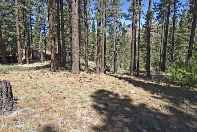 50 Pinon Rd, Markleeville, CA 96120 - photo 10