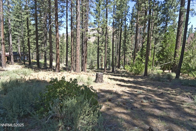 50 Pinon Rd, Markleeville, CA 96120 - photo 5