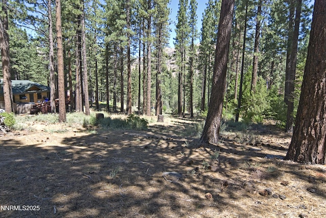 50 Pinon Rd, Markleeville, CA 96120 - photo 11