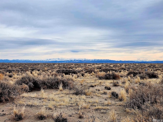 17151 Pioneer Way, Fallon, NV 89406
