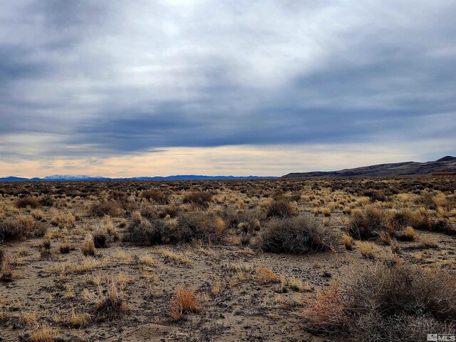 17151 Pioneer Way, Fallon, NV 89406