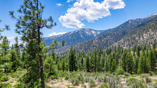 183 Duane Bliss Way, Carson City, NV 89705
