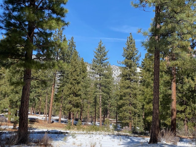238 Redding Way, Carson City, NV 89705