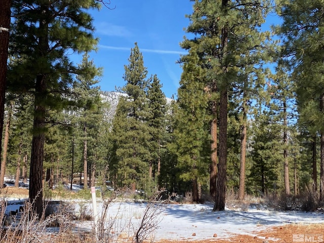 238 Redding Way, Carson City, NV 89705