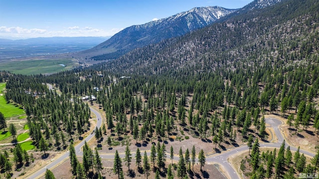 89 E Fork Dr, Carson City, NV 89705