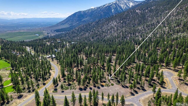 89 E Fork Dr, Carson City, NV 89705