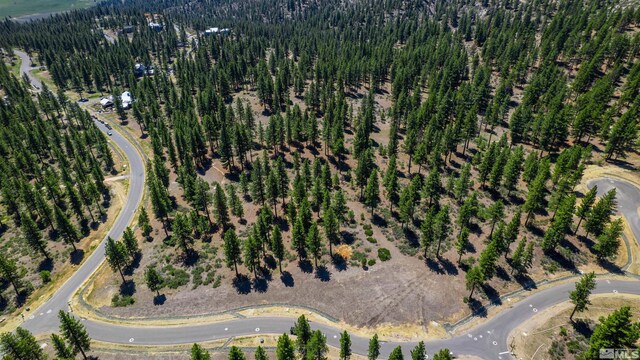 89 E Fork Dr, Carson City, NV 89705