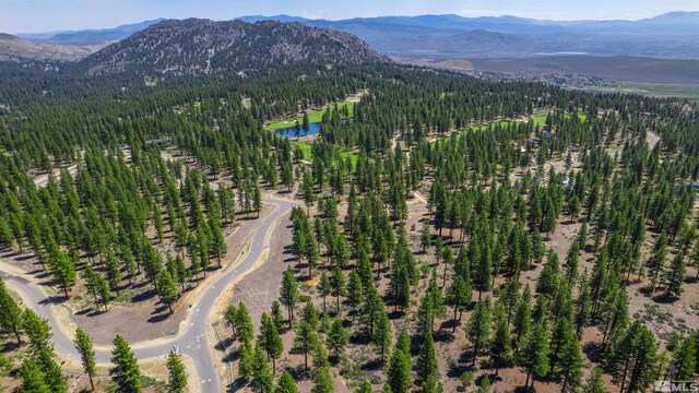 89 E Fork Dr, Carson City, NV 89705
