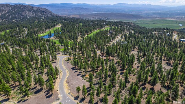89 E Fork Dr, Carson City, NV 89705