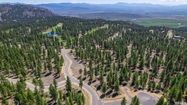 89 E Fork Dr, Carson City, NV 89705