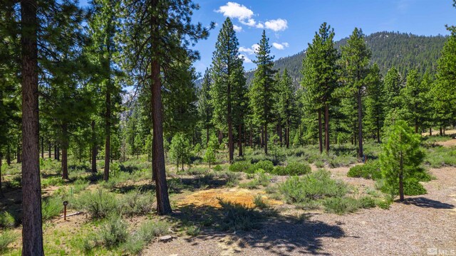 89 E Fork Dr, Carson City, NV 89705