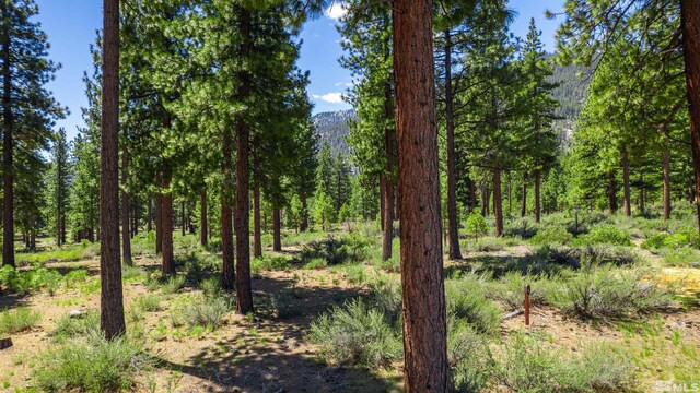 89 E Fork Dr, Carson City, NV 89705