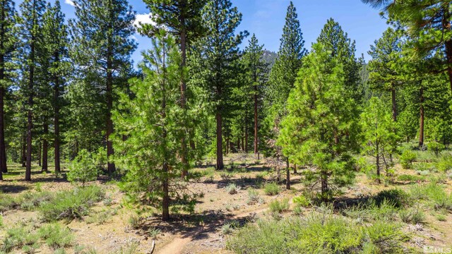 89 E Fork Dr, Carson City, NV 89705