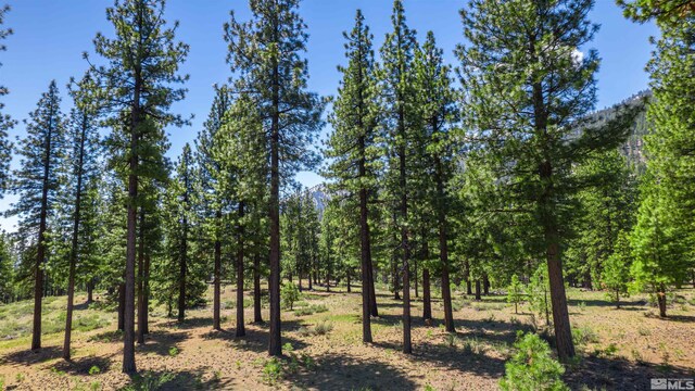 89 E Fork Dr, Carson City, NV 89705