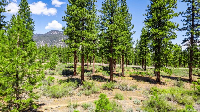 89 E Fork Dr, Carson City, NV 89705