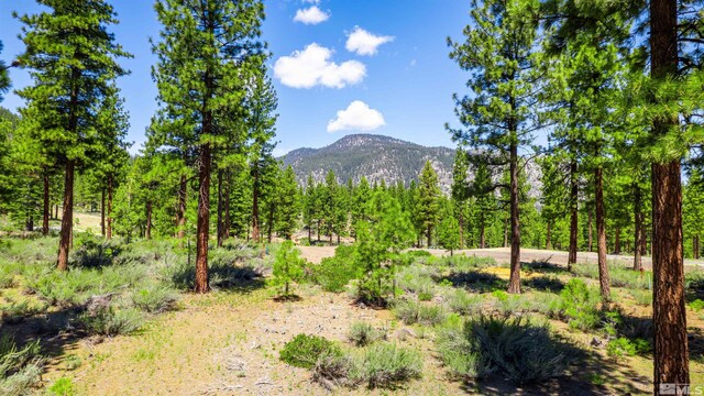 89 E Fork Dr, Carson City, NV 89705