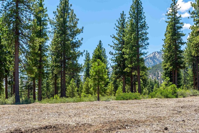 89 E Fork Dr, Carson City, NV 89705