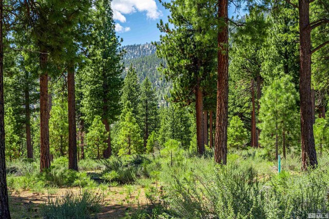 89 E Fork Dr, Carson City, NV 89705