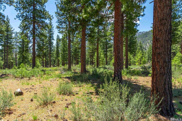 89 E Fork Dr, Carson City, NV 89705